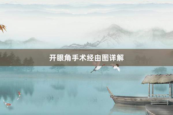 开眼角手术经由图详解