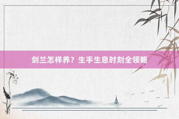 剑兰怎样养？生手生息时刻全领略