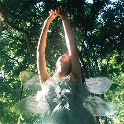 辛亥元勋蒋翊武